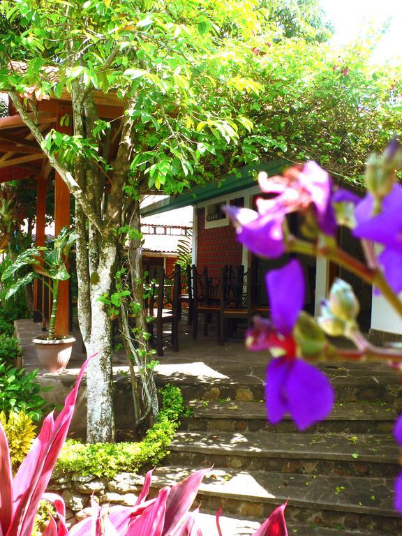 Bubinzana Magical Lodge تارابوتو المظهر الخارجي الصورة